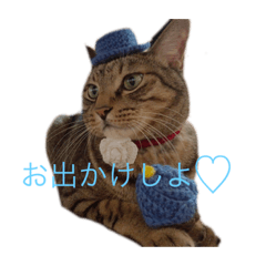 Ayumi_20220222215322