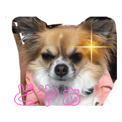 HANA_20220222221543