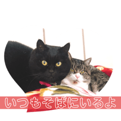 Kii_20220222152650