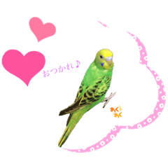 monaka_20220223130545