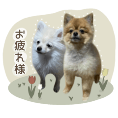 Reo & Sora  sticker