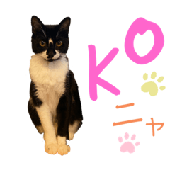 tora.mii.good.merry