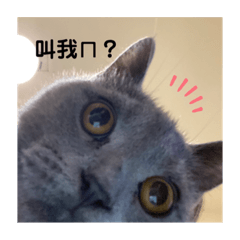 機車江總裁