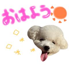 Yuka_20220223164604