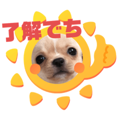 Ima_20220223164923