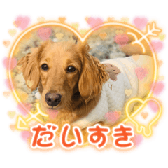 miki_20220223170952
