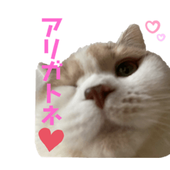 orange_20220223181845