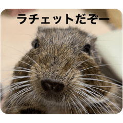 Daichi_20220223191024