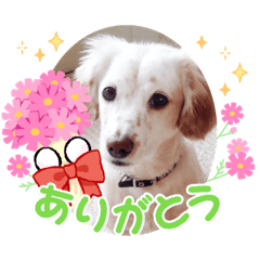 risa_20220223213309