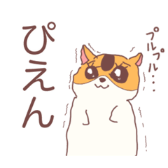 aoi_20220224002101