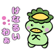 NoBupota_20220224064148