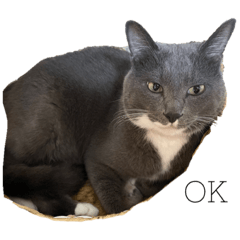 saori_20220224072745