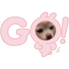 Hikaru_20220223150810