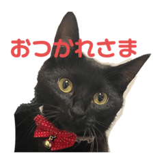 hikari_20220224010927