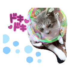 chisa_20220223155442