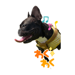 Momoko_20220223172611