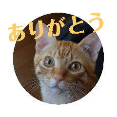 ai_20220223171856