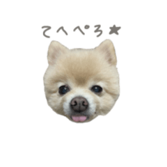 yukari_20220223194456