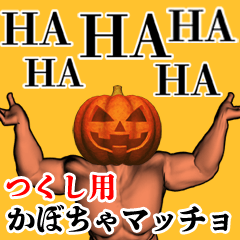 Tsukushi Pumpkin macho