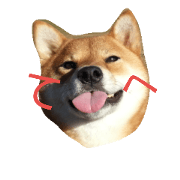 The Shibainu