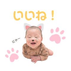 akari_20220223195728
