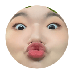 Wa Si MgAl