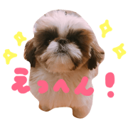 mr.marshmallow. mr.marshmallow.