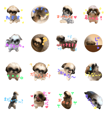 mr.marshmallow. mr.marshmallow.