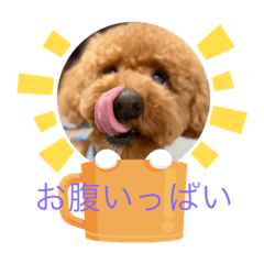 risa_20220224155205