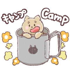 Camping with cats