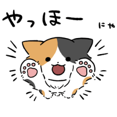 Long hair calico cat sticker 2