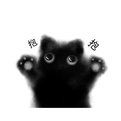 黑霧貓貓