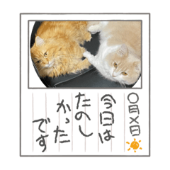 miyuu_20220224121704