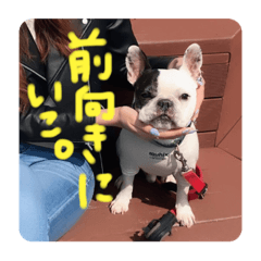 miki_shin