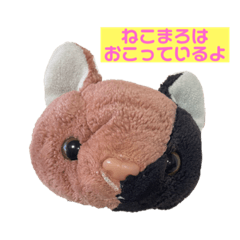 hikaru_20220224172908