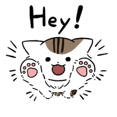 Long white brown tabby cat 2(English)