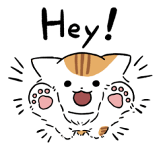 Long hair white red tabby cat 2(English)