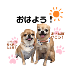 himawari_20220224180619