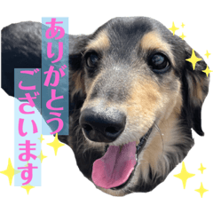 choco choco choco choco choco