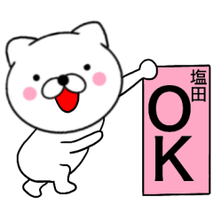 Name cat Shiota