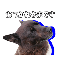 mizuki_20220224195637