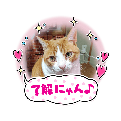 KAORI_20220224205012