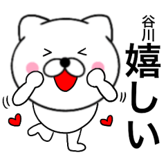 Name cat Tanigawa
