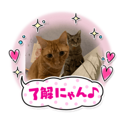 yun_20220224173949
