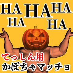 Tesshin Pumpkin macho