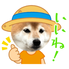 junko_20220224151102