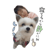 Yuichobi stamp