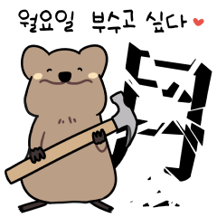 Quokka can break anything (Korean ver.)