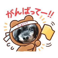yuka_20220224230038