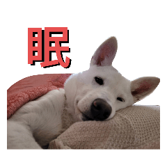 保護犬うめちゃん 1文字ver.